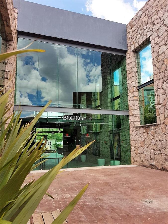 Hotel Camino De Piedra Guanajuato Exterior photo